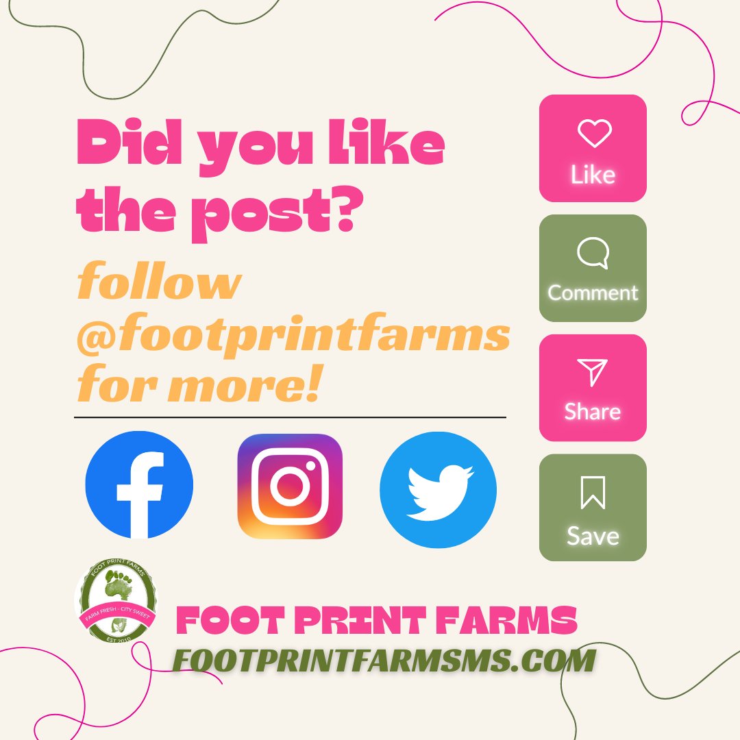 We'd like to thank you for following us on our social media platforms! Please be sure to like, share and follow us! Simply type <a href="/FootPrintFarms/">Foot Print Farms</a> in each platform: IG, FB and Twitter and you'll find us~ Share this post to your social media platforms.