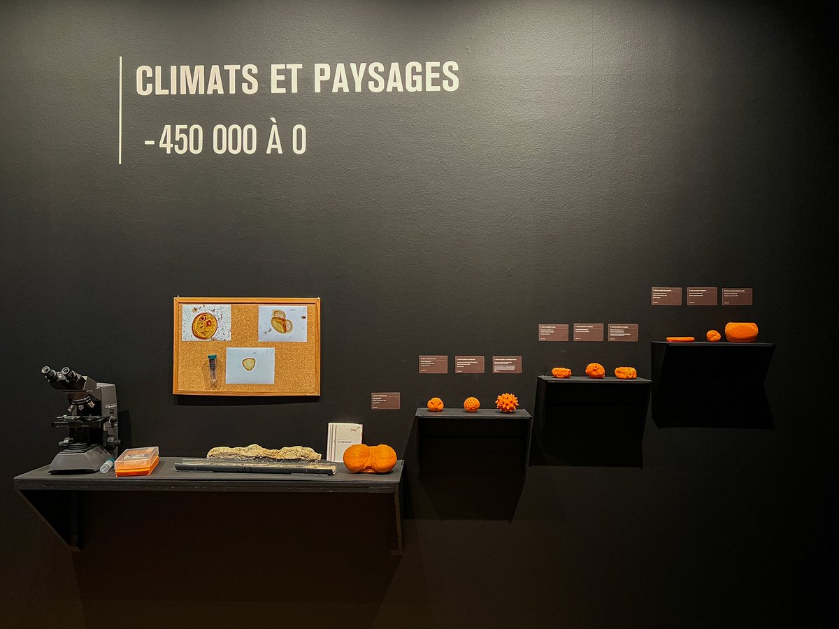Inrap's tweet photo. Le musée Thomas Henry de la @VilleCherbourg accueille « ArchéoCotentin : la conquête d’une presqu’île - 300 000 à 30 avant notre ère »
Cyril Marcigny, spécialiste de l'âge du Bronze et commissaire scientifique de cette exposition labellisée #20ansInrap 👉 https://t.co/9RYoqKaZ3P https://t.co/ypTJwc01ge