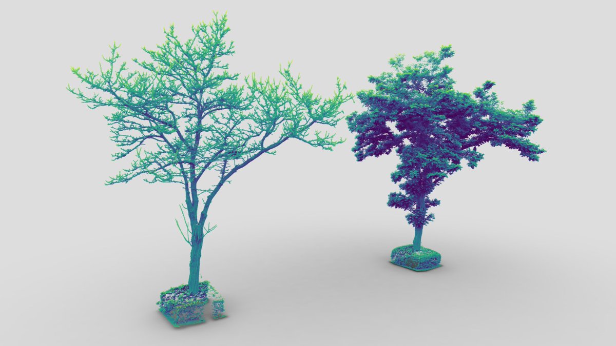 Same tree, different season. Which one is your favourite? #UrbanTrees
👀 3D model @ skfb.ly/oBNro