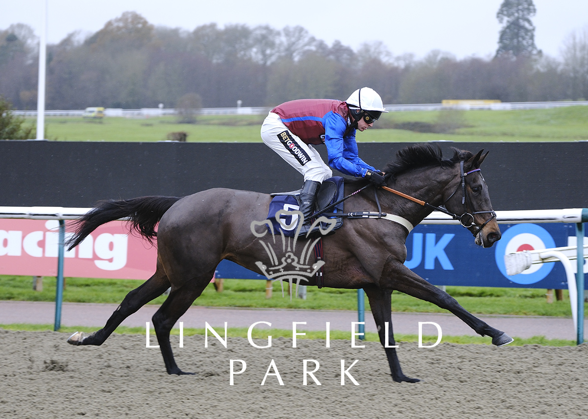 Lingfield Park on Twitter "Today's Race Results RACE 1 RESULT