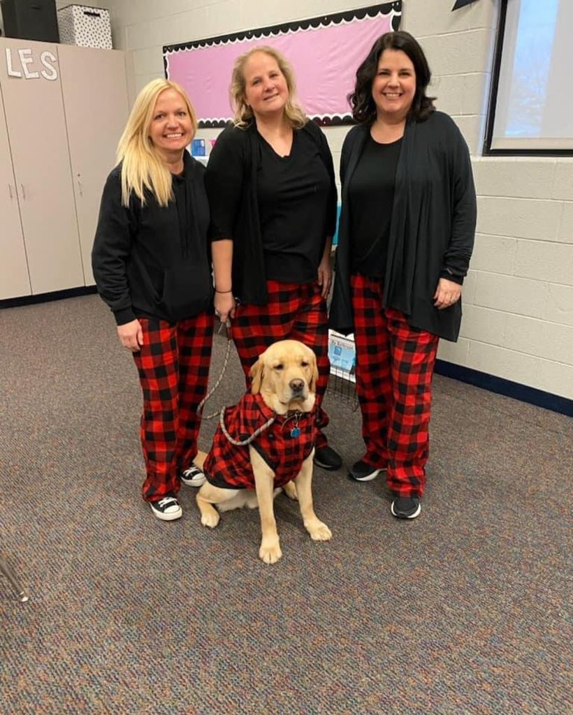 SLCSdogs's tweet photo. Holiday Spirt Week! 🐾 https://t.co/8kknGau8vn