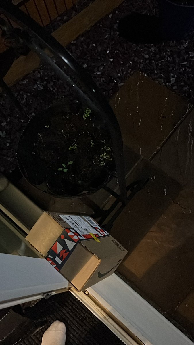 LukeSmithh tweet media