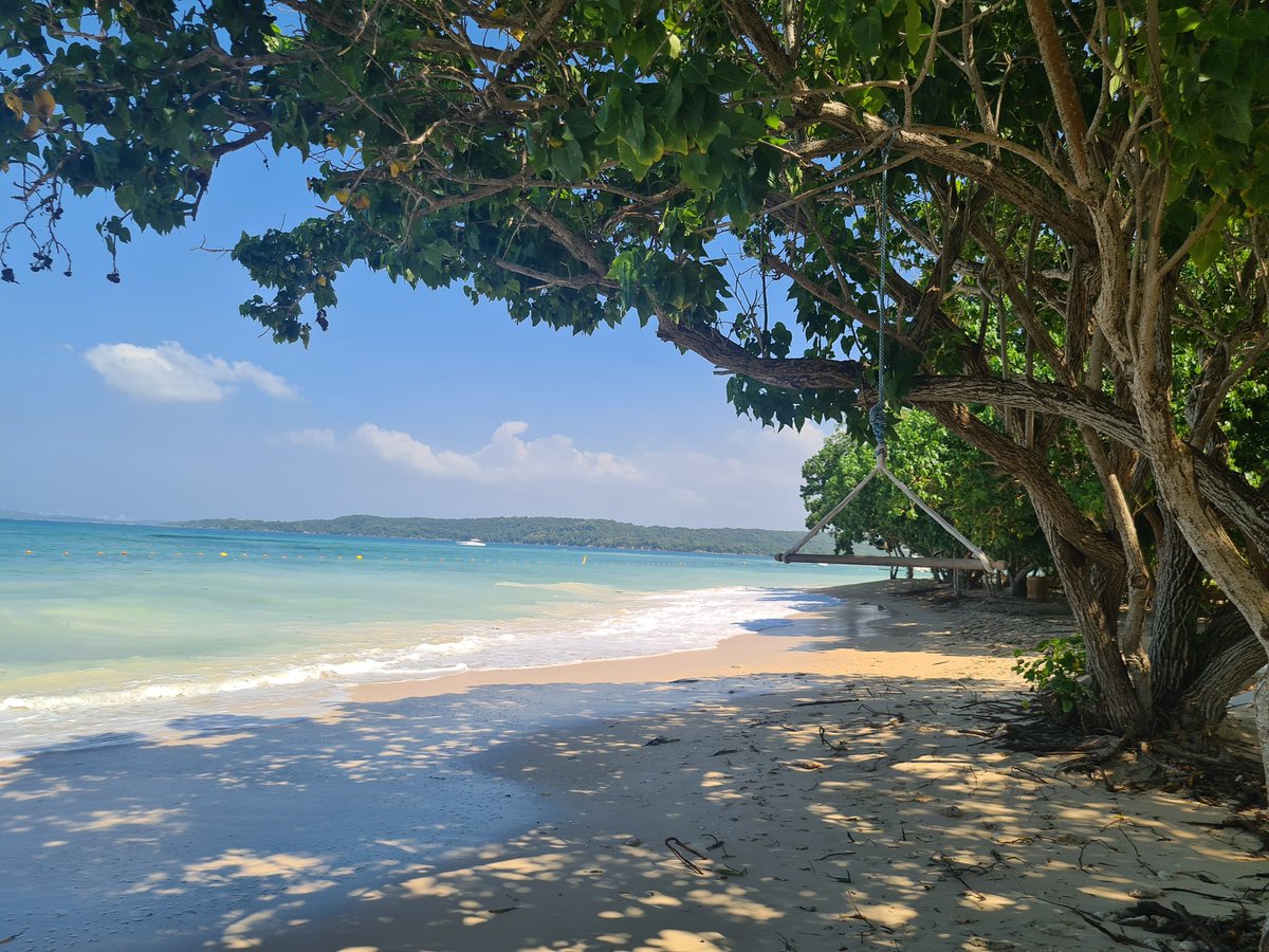 DrButterflyH's tweet photo. My choice this year where to spend the winter solstice ๐๐. Come and visit paradise #Colombia ๐จ๐ด #countrywithmorebutterflies #holidays #bestbeaches #escapefromwinter https://t.co/Ggz9aA2gX7