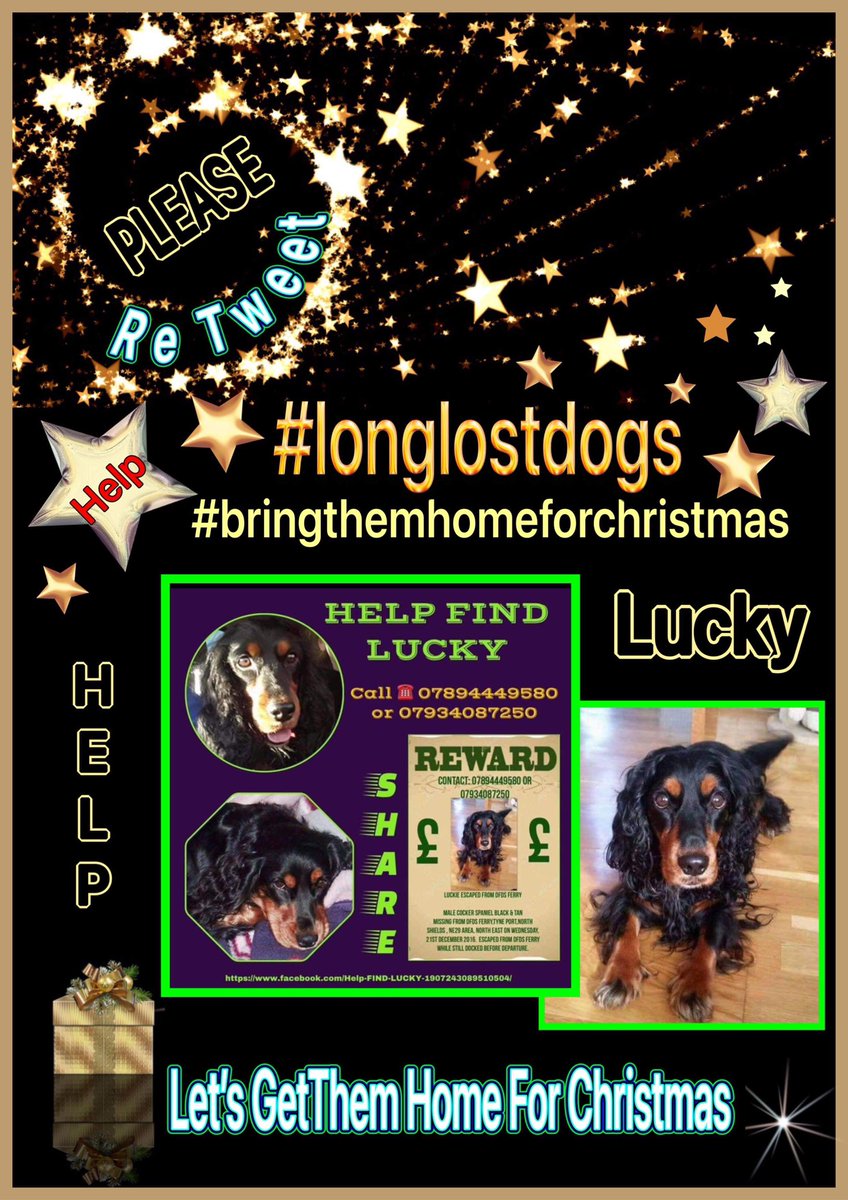rosieDoc2's tweet photo. #helpfindLucky https://t.co/HTzM5rcYaE