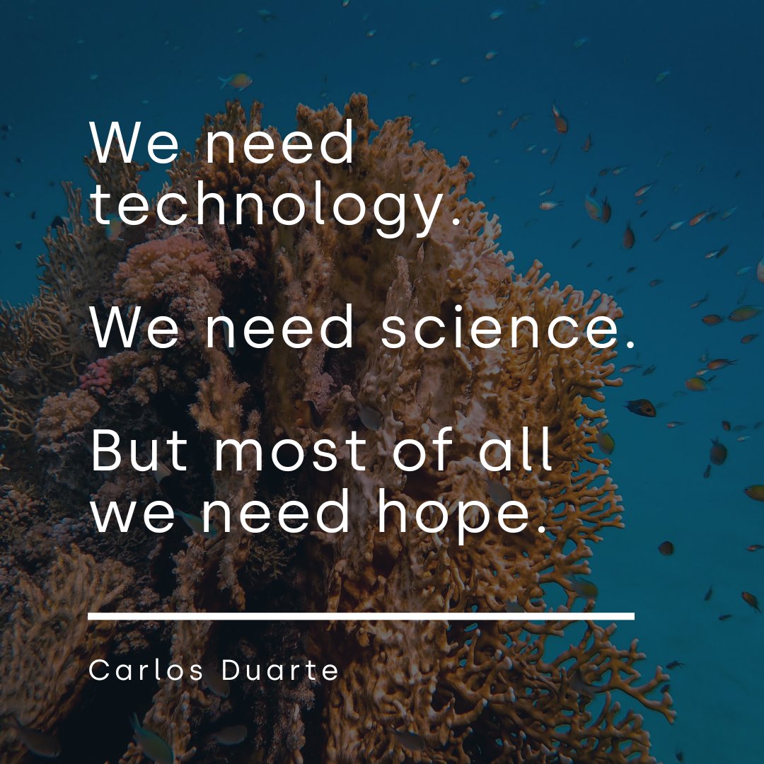 Professor Carlos Duarte, CORDAP's Executive Director is one of the world's leading marine scientists and coral voices of hope. 

RT if you feel hopeful for corals 🪸💙
#ForCoral #Post2020 #SaveOurOcean