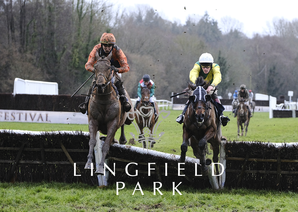 RACE 4 RESULT –Follow @attheraces On Twitter Handicap Hurdle

🥇     Tommy Dillion

Jockey: Niall Houlihan 
Trainer: Richard Rowe 
Owner: Winterfields Farm Ltd