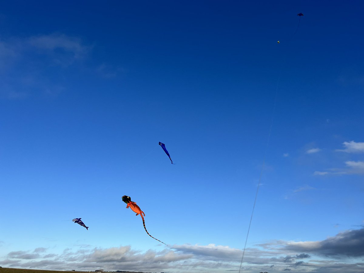 plansKF's tweet photo. a few from our solstice/xmas fly this afternoon. rained most of the day but had a chill few hours in between https://t.co/DaivWyqnrA
