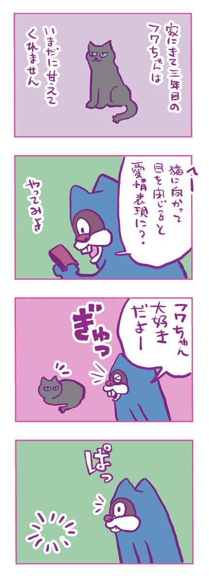 最近のとよ田家 