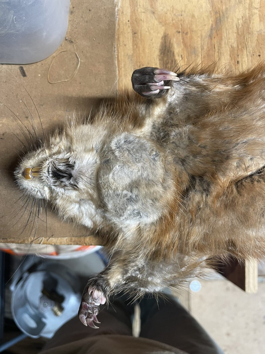 Nick Bakner tweet media