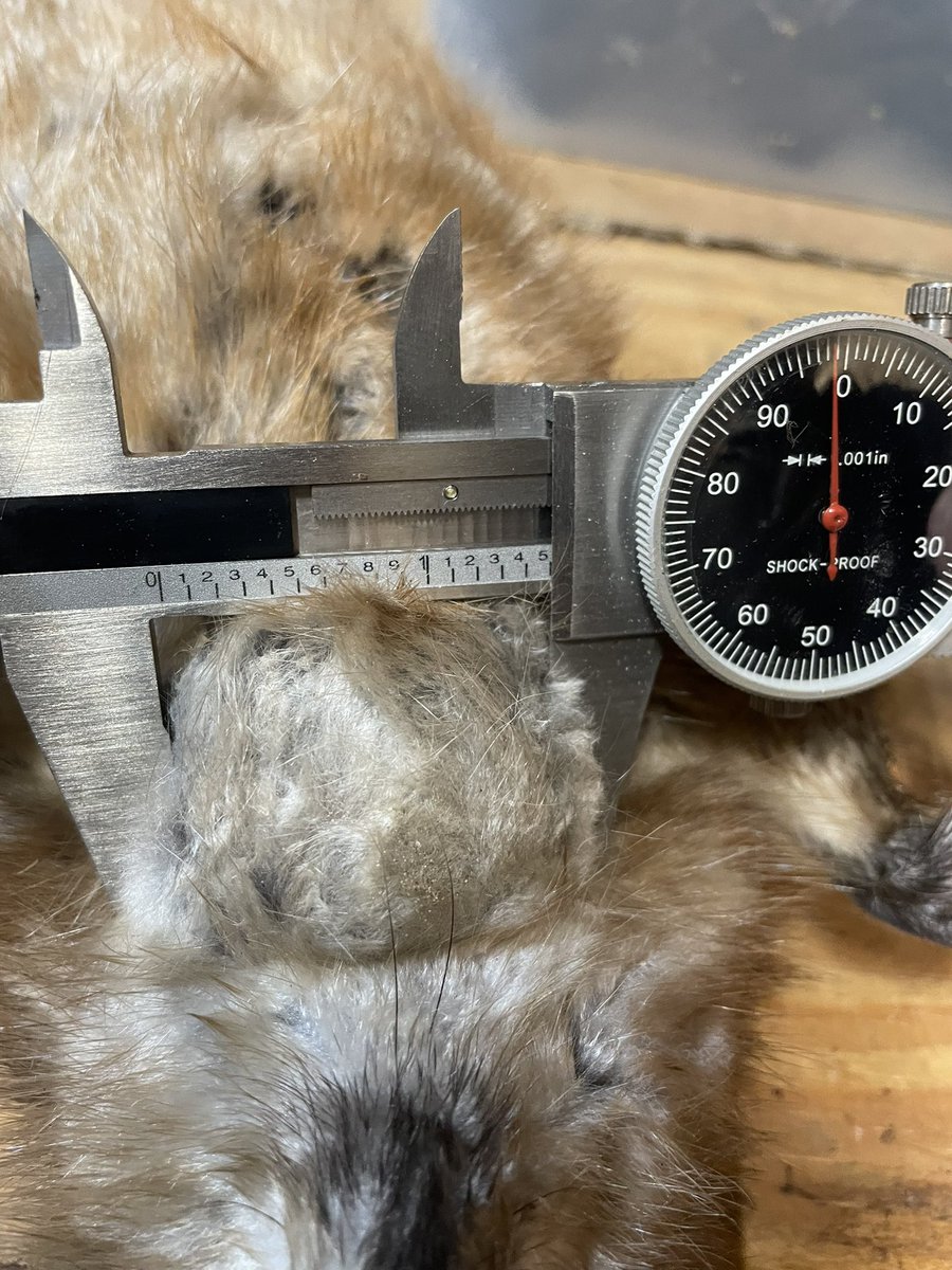 Nick Bakner tweet media