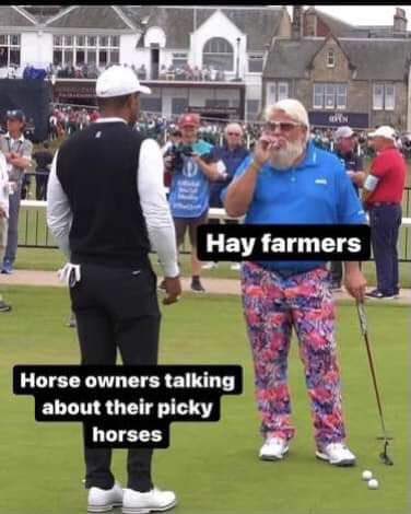 <a href="/PlsntVlyFarmer/">Degenerative Agriculture Advisor</a> The love/hate of horse hay customers
