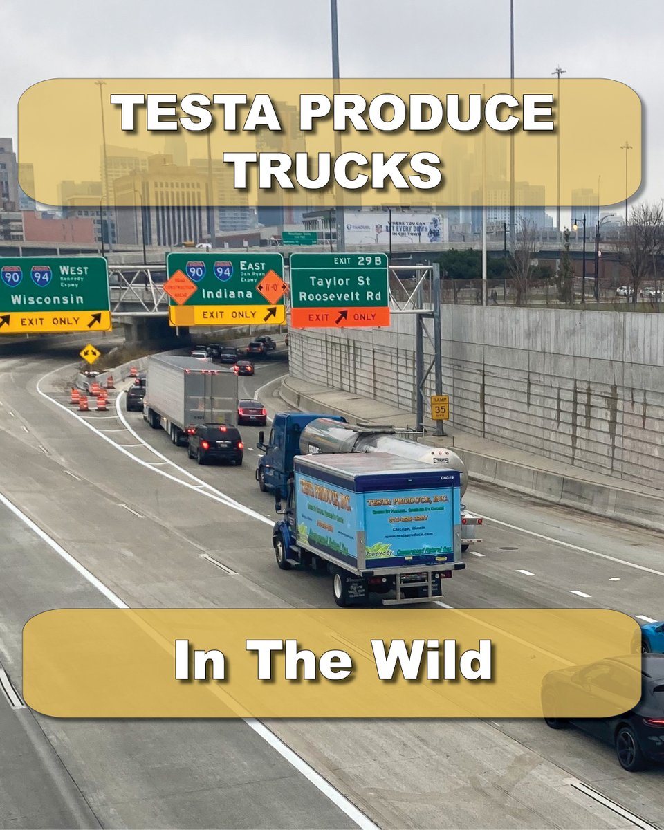 testaproduceinc's tweet photo. An Eagle-Eyed customer saw one of our eye-catching Testa Produce trucks en route to delivery. https://t.co/XKwjQQg3vn