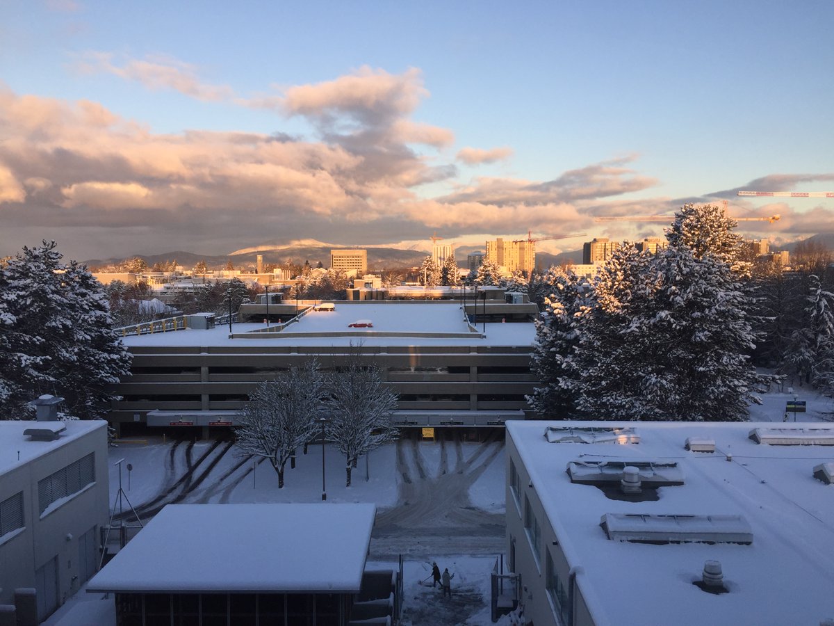 williamswchen's tweet photo. #viewfrommyoffice this morning @ #UBC #CHBE

beautiful calm between the winter storm🥶

shoutout to #CHBEstores crew hard-at-work clearing the snow! https://t.co/Mtot6tINUO