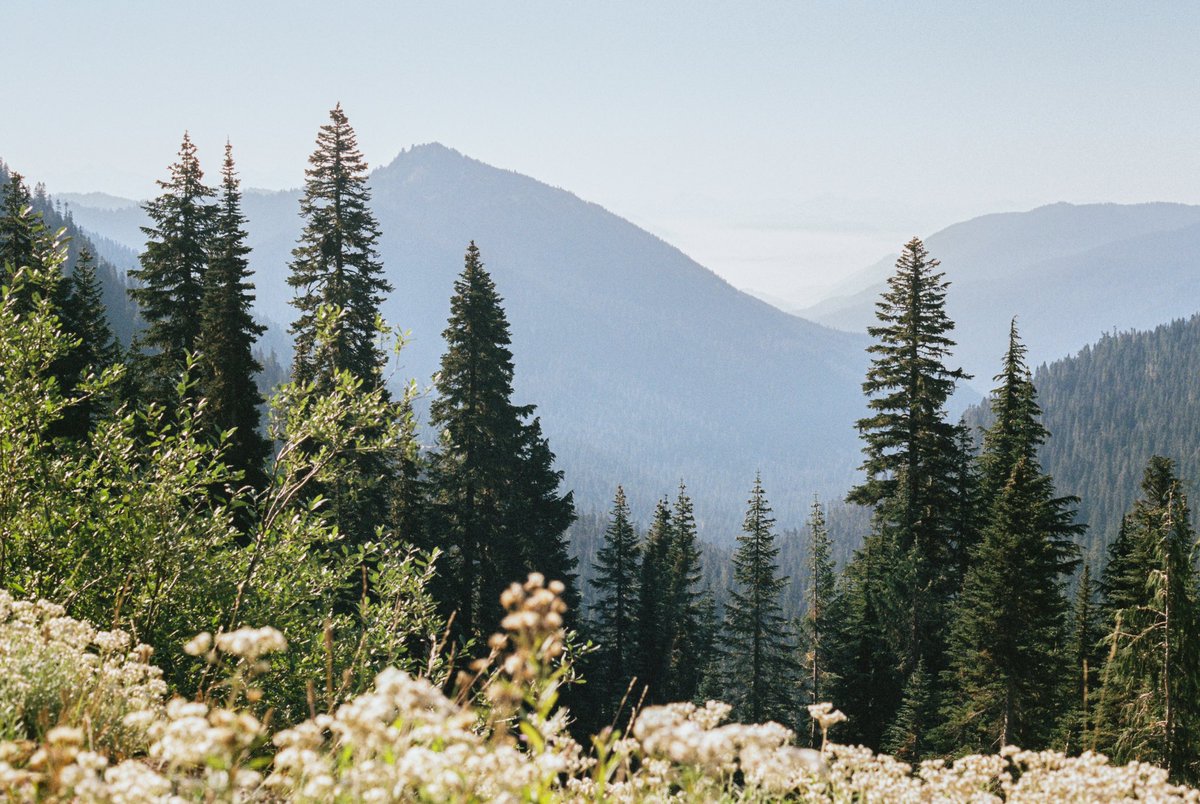 IzzieFarr's tweet photo. A few from the Pacific Northwest 🌲

All shot on Fujifilm Superia Xtra 400 🎞️ https://t.co/5cSU5HNUeK