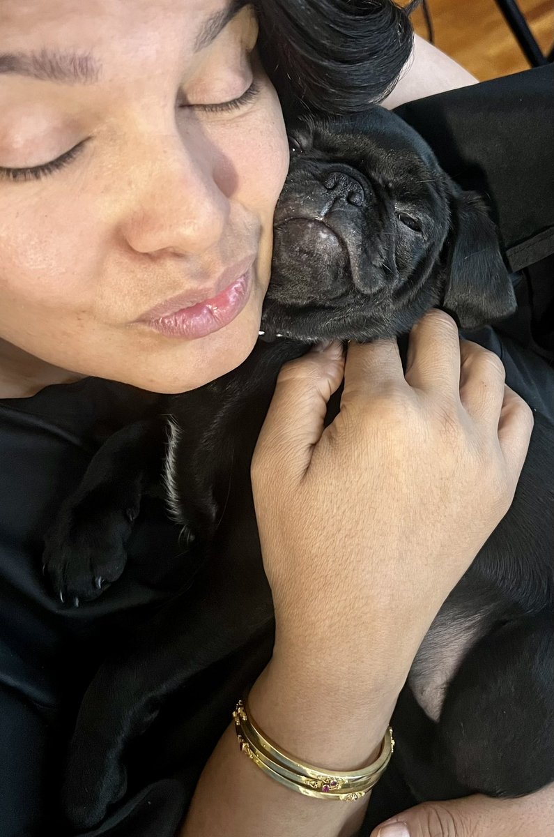 sarasidnerCNN's tweet image. Another day another dog friend. My heart is melting. Meet “Missy Elliot” the pup.