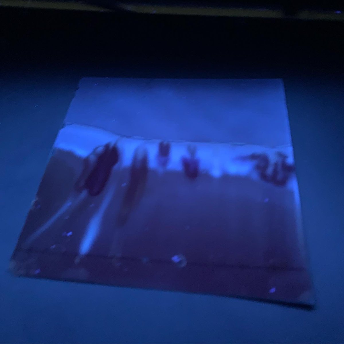 C6H12O6Addict's tweet image. A student just told me, “This is awesome! This is the most hands-on final I have ever done!” His lab partner told him, “this whole class is hands-on! Why would the final be different!?!” Thanks @WardsScience for making a TLC chromatography drug identification final possible.