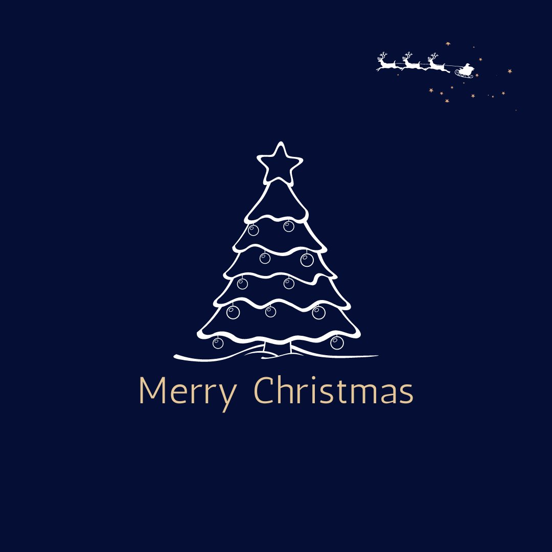 Merry Christmas! Have a fun and wonderful holiday weekend! 🎄

 #christmas  #holiday