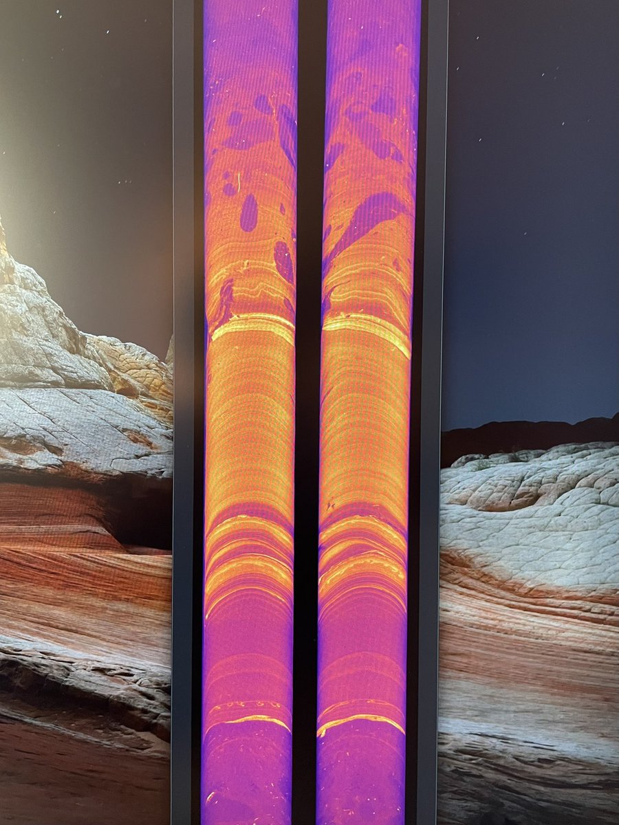 Dr. Jenna Hill tweet media