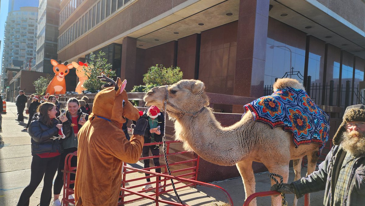 TMacDonaldWHYY's tweet photo. Reindeer and camel meet at #archphilly Christmas party https://t.co/uU9NhqvzzH