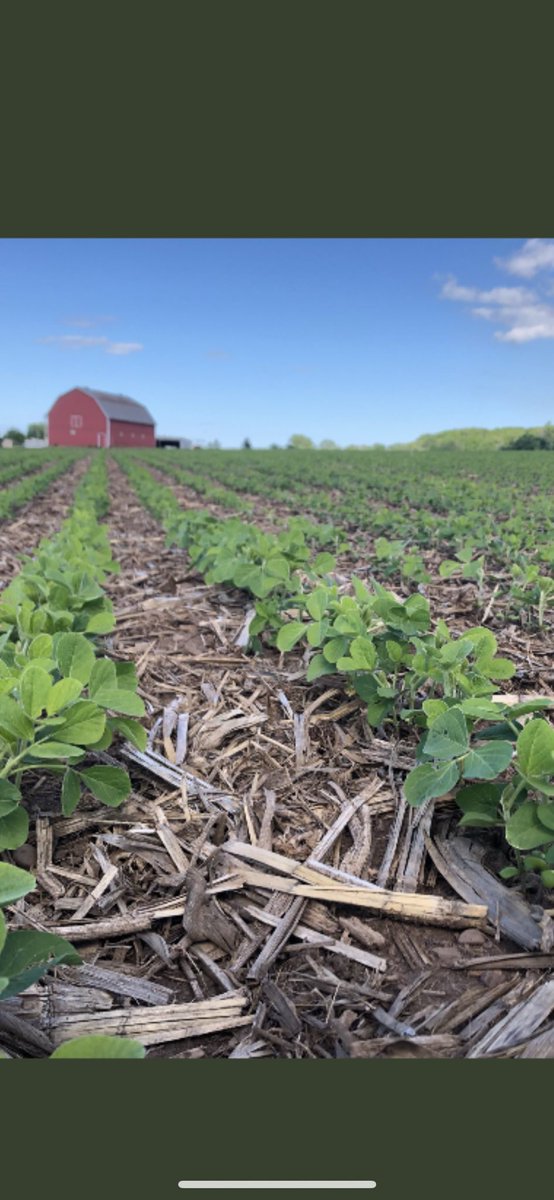 milminer's tweet photo. @ClarkAgri @NufarmCA https://t.co/o51KqOFi96