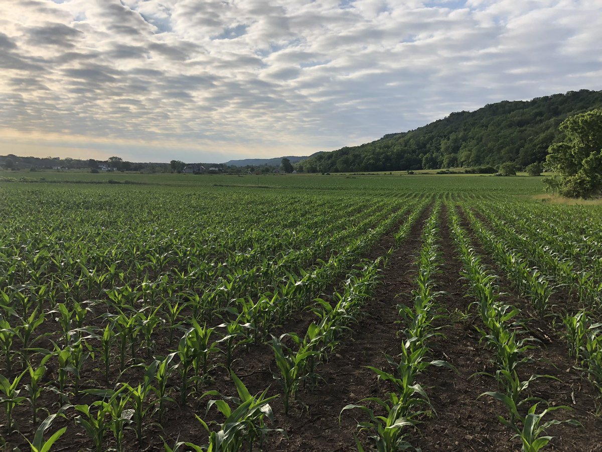 milminer's tweet photo. @ClarkAgri @NufarmCA https://t.co/o51KqOFi96