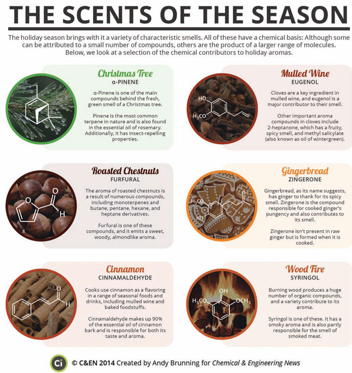 🎄 The holiday season is upon us and it brings with it a number of familiar smells. In this #PeriodicGraphics, we take a look at the chemical contributors to holiday aromas: fal.cn/3uBX4 By <a href="/compoundchem/">Compound Interest | Chemistry infographics</a>