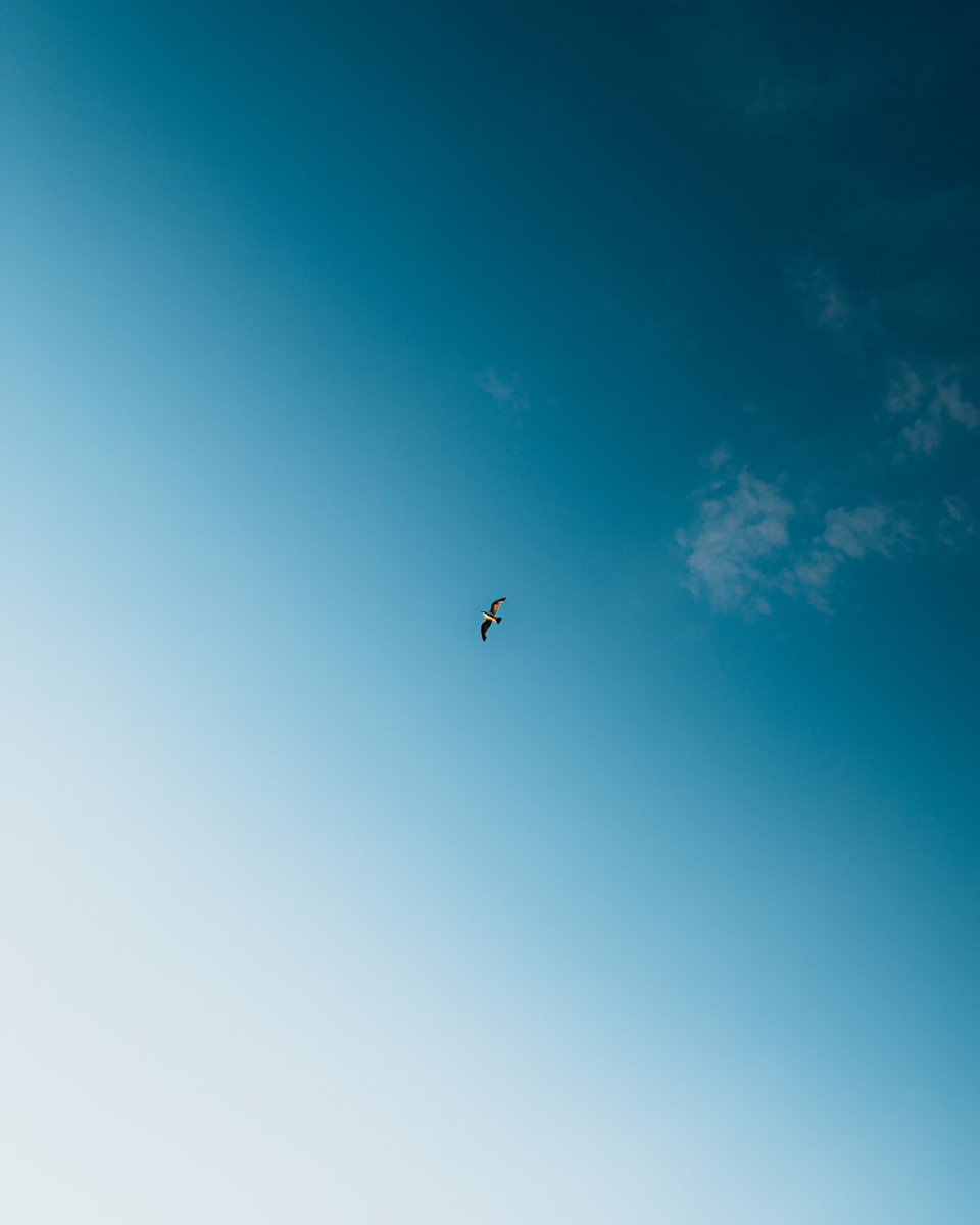 zarasultann's tweet image. #shotandeditedoniphone