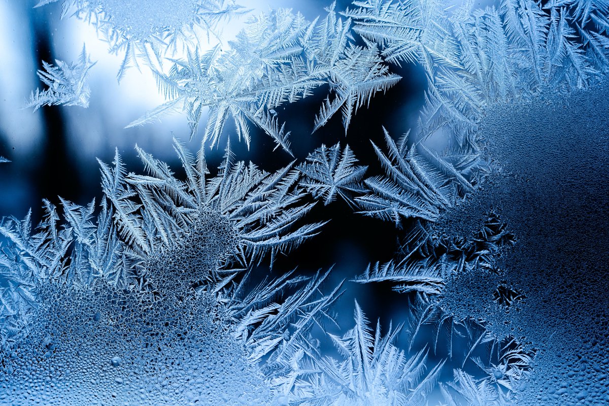 UofA Botanic Garden (@uabotanicgarden) on Twitter photo Due to the extreme cold weather conditions, all events are cancelled this evening. Contact us at uabg.dining@ualberta.ca (for NLDE) or uabg.visitorservices@ualberta.ca (for Luminaria) and include your confirmation number, name and a date you would like to transfer to. Due to the extreme cold weather conditions, all events are cancelled this evening. Contact us at uabg.dining@ualberta.ca (for NLDE) or uabg.visitorservices@ualberta.ca (for Luminaria) and include your confirmation number, name and a date you would like to transfer to.