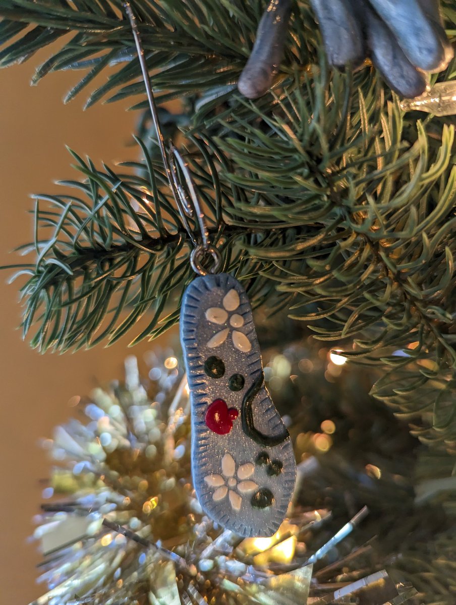 cdmacquarrie's tweet photo. Mom sent us some homemade microbe ornaments #Volvox #Paramecium #Tardigrade #Hydra #proTistTheSeason #Yulekaryotes https://t.co/kpRCAR3h9F