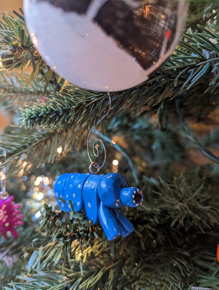 cdmacquarrie's tweet photo. Mom sent us some homemade microbe ornaments #Volvox #Paramecium #Tardigrade #Hydra #proTistTheSeason #Yulekaryotes https://t.co/kpRCAR3h9F