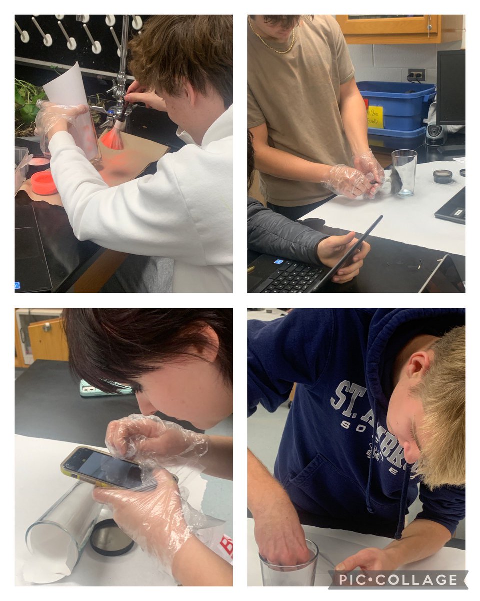 rachelleterada's tweet image. Last day in #forensics is a lab day! Students are analyzing the hair, fabric, fingerprint and blood spatter evidence from our last crime scene. #YourCommunitySchools #AuthenticAssessment