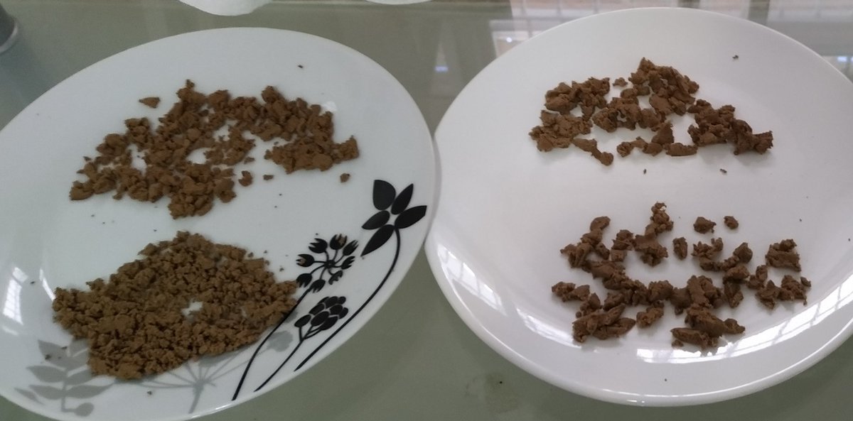 CannaCoin_Sol's tweet photo. Homemade bubble hash.🔥
Can't wait to repress after it's dried.
Gonna need a CannaCoin press😁
Gonna leave some out for Santa🎅🌿
#cannabisculture #CannabisCommunity #Mmemberville #bubblehash #hash #420fam #cannacoin #WeedLife #cbdhash #organic #ganja #cannabis #cannabislife https://t.co/TT4bGSr8iM