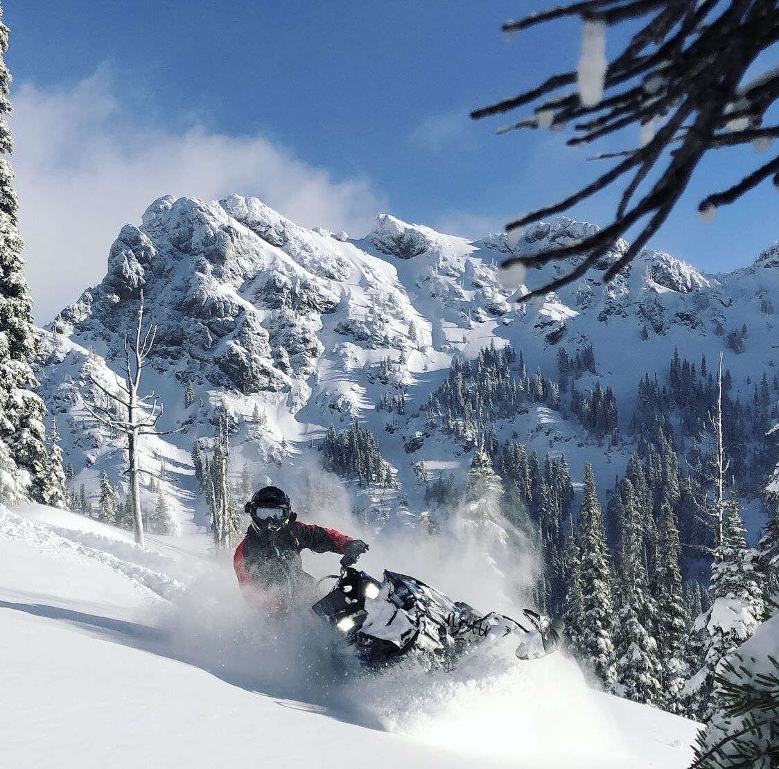 Rexburg Motorsports tweet media