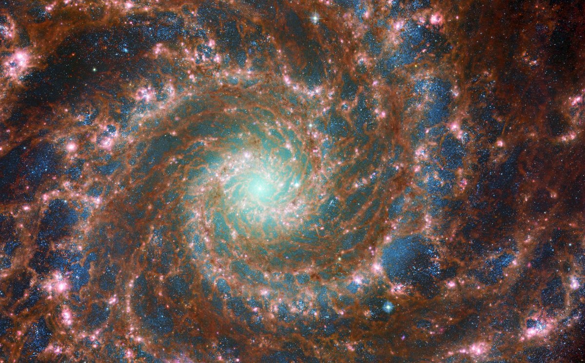 Space360HQ's tweet image. Get your (infra)red and green fix right here, courtesy of @NASAWebb and @NASAHubble!

The red colors mark dust threaded through the arms of the M74 galaxy and the green shows older stars toward the galaxy’s center: bit.ly/3HUsBDI