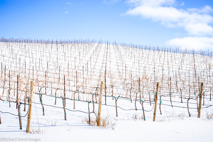 WINTER SOLSTICE signals the official beginning of winter, the coldest season in the Northern Hemisphere. During the winter solstice, the Sun appears to stand still at the southernmost point of the equator.