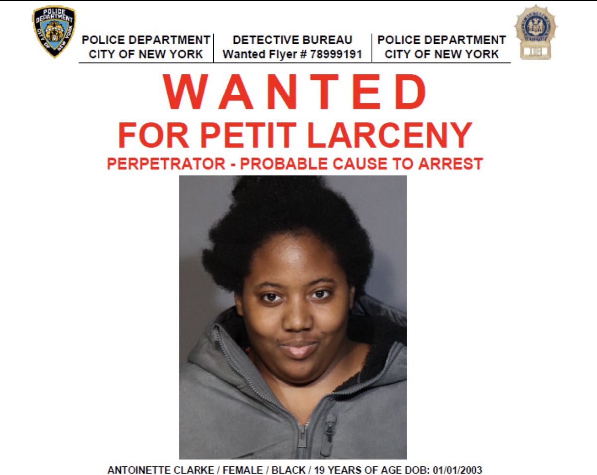 NYPD 110th Precinct on Twitter "🚨WANTED🚨FOR PETIT LARCENY The