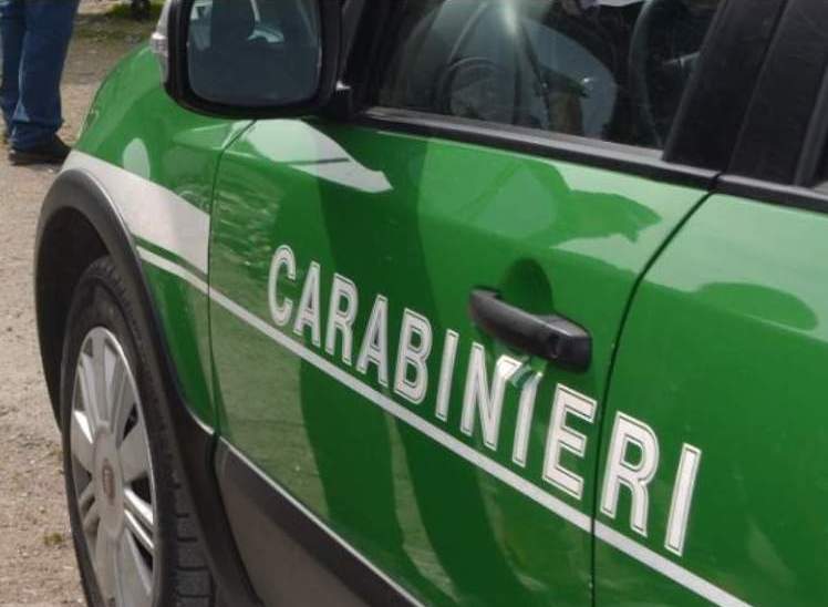 ** Presentato il report annuale delle attività del Gruppo Forestale dei #Carabinieri di ##Avellino ** anteprima24.it/avellino/prese…
#GruppoForestale #CronacaAvellino #PrimoPianoAvellino #anteprima24