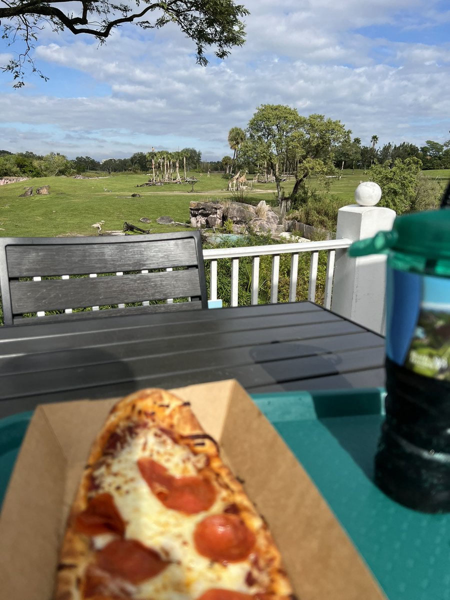 Lunch with a view 🍕 🦒
