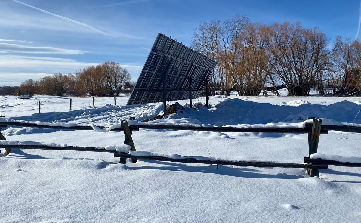 Alex Miller tweet media