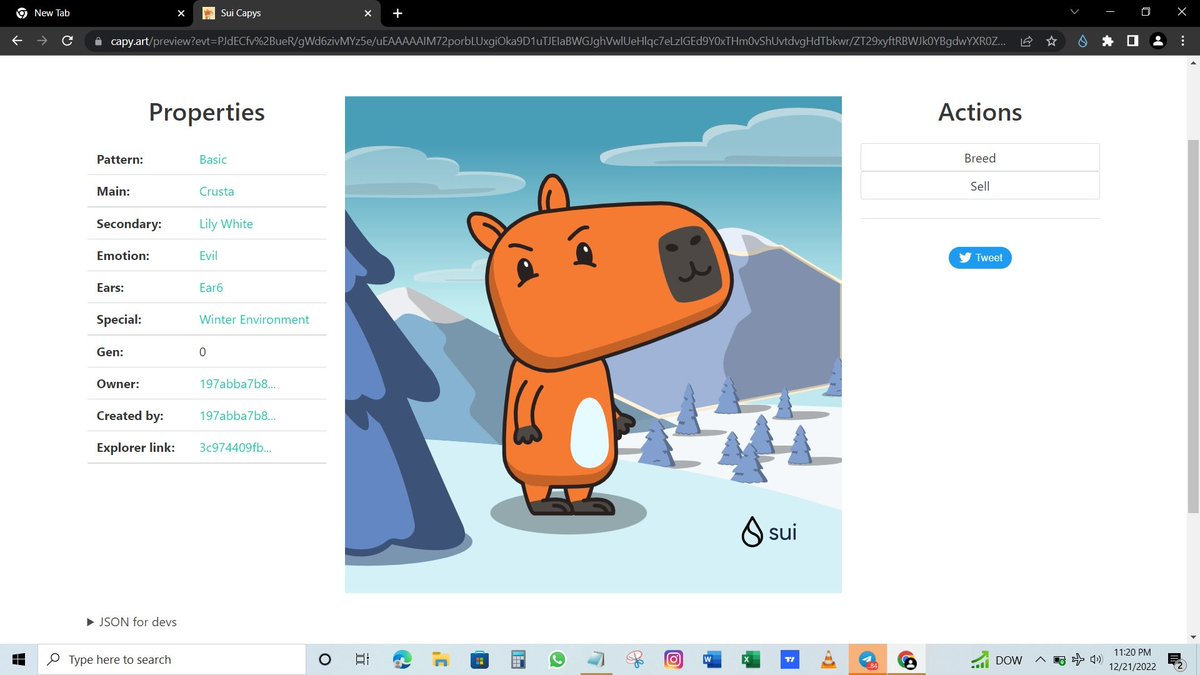 🎁 I just unboxed my Sui Holiday Capy! ❄️ 
Create your own Capy here:  capy.art #CapyHolidays