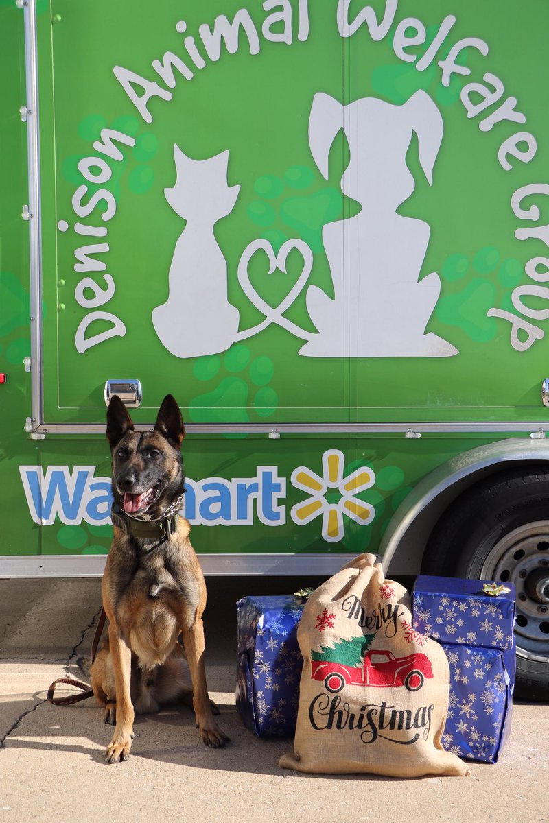 DenisonTexasPD's tweet photo. CHRISTMAS AT DAWG
 
Christmas is the season of giving! Echo decided to uphold that holiday spirit and dropped off some gifts to his friends at the local homeless animal shelter, DAWGS – Denison Animal Welfare Group.
 
Echo says Happy Holidays!🎄🎁 https://t.co/P3l9GCuNlk