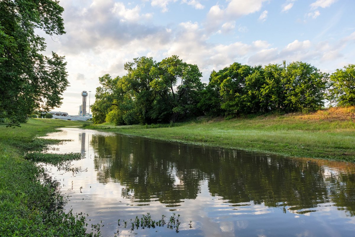 DallasCommons's tweet photo. #DYK: Wetlands function as natural sponges that trap and slowly release surface water, rain, groundwater, flood waters and snowmelt. Visit https://t.co/xWvh91SR4O.
Sean Fitzgerald 📸
#DallasWaterCommons #urbanwetlands #education #waterconservation #environment #floodcontrol https://t.co/TMvuQ66H7N