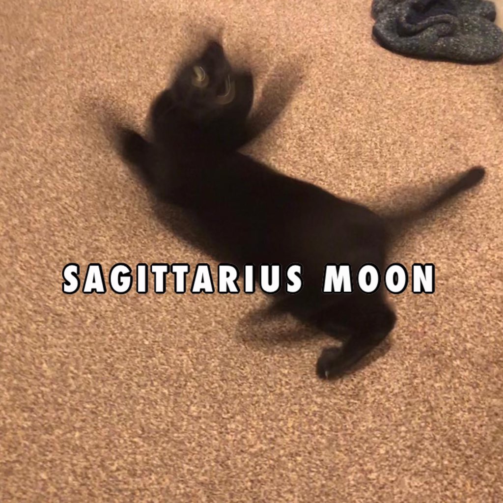 michtttt's tweet photo. Big demon energy tbh https://t.co/xQjJAjKSeH