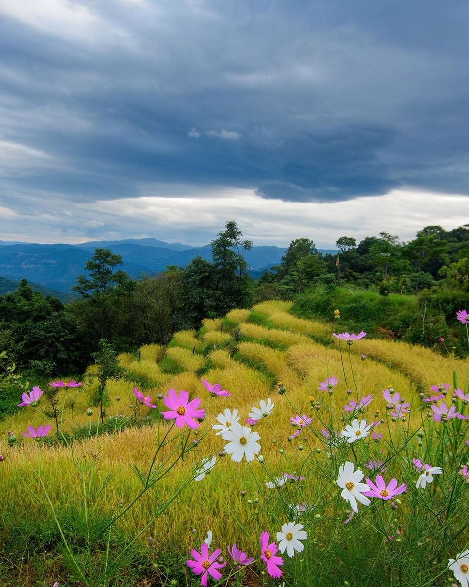 'Jakhama,Nagaland. From u/Resident_Let_2220 on /r/mostbeautiful'