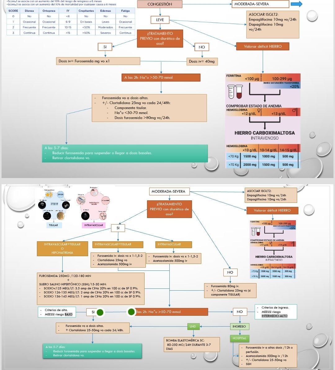 LlorensPere's tweet photo. Resumen protocolo del tratamiento diurético en urgencias en pacientes con ICA en el HGU Dr Balmis by @Begoef en consenso con Cardiología @cardioHGUA y M. Interna https://t.co/1ykfRWnlVL