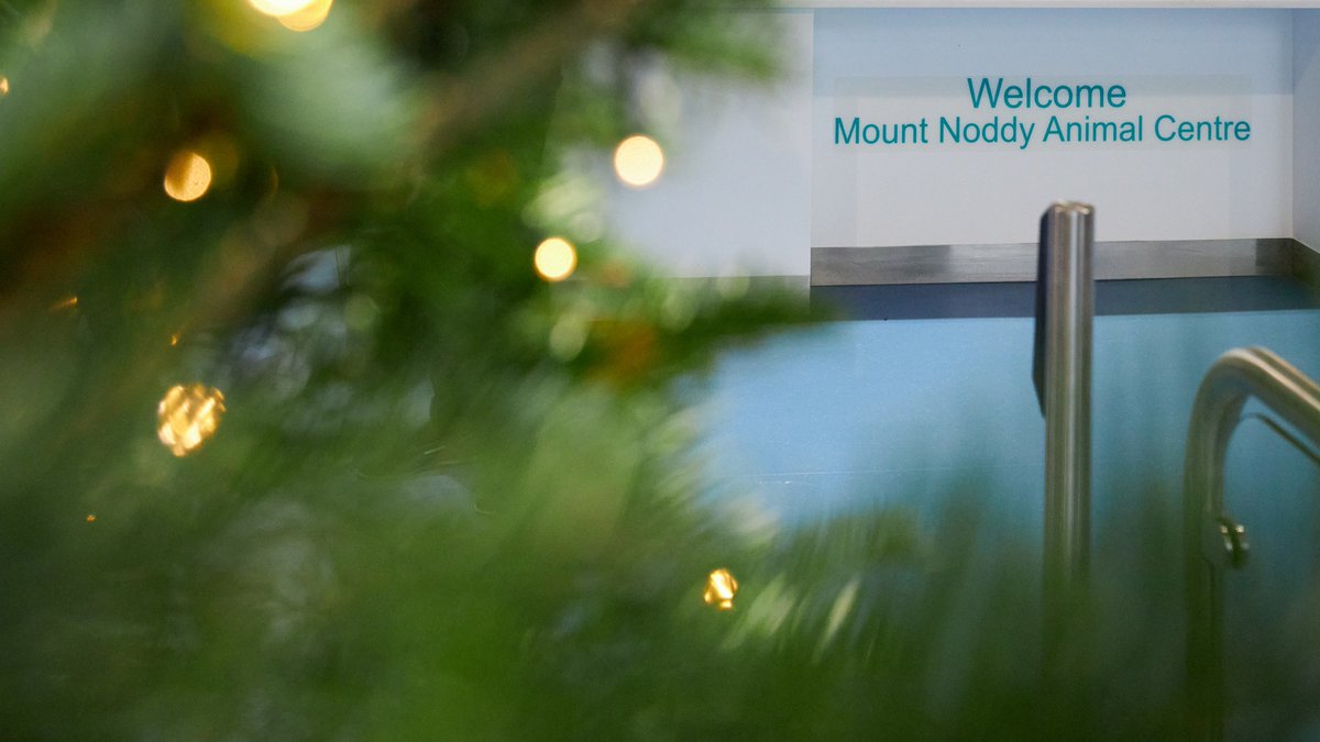 RSPCA Sussex West Branch tweet media