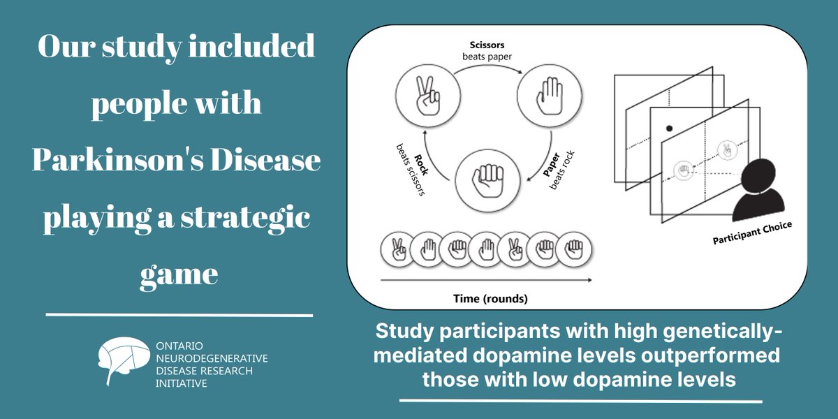 The ONDRI Study (@ondristudy) on Twitter photo New pub! ONDRI researchers @AshCParr <a href="/doug_munoz/">Douglas Munoz</a> et al, supported by a <a href="/ParkinsonCanada/">Parkinson Canada</a> grant, used a simplified digital form of ‘rock paper scissors’ to measure the impact of #genetic #dopamine function on decision making in people with #parkinsons. More: bit.ly/3BUGv4J New pub! ONDRI researchers @AshCParr <a href="/doug_munoz/">Douglas Munoz</a> et al, supported by a <a href="/ParkinsonCanada/">Parkinson Canada</a> grant, used a simplified digital form of ‘rock paper scissors’ to measure the impact of #genetic #dopamine function on decision making in people with #parkinsons. More: bit.ly/3BUGv4J