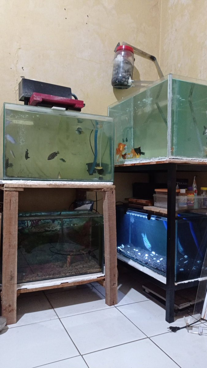 usman_nud's tweet photo. @1bunnyjjk @tanyakanrl Nguras aquarium kak https://t.co/2HMptw8Hnl