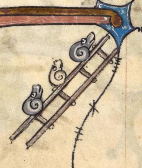 WeirdMedieval's tweet photo. snails going up a ladder, france, 14th century https://t.co/7qBsF8y1Uz
