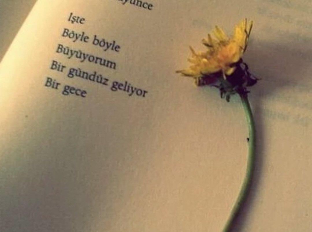 Sumrtmirc's tweet photo. İşte 
Böyle böyle 
Büyüyorum.
Bir gündüz geliyor 
Bir gece.

Cahit Zarifoğlu https://t.co/hFi4CC7oKs